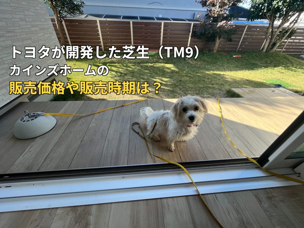 トヨタが開発した芝生（TM９）のカインズホームの販売価格や販売時期は？のアイキャッチ
