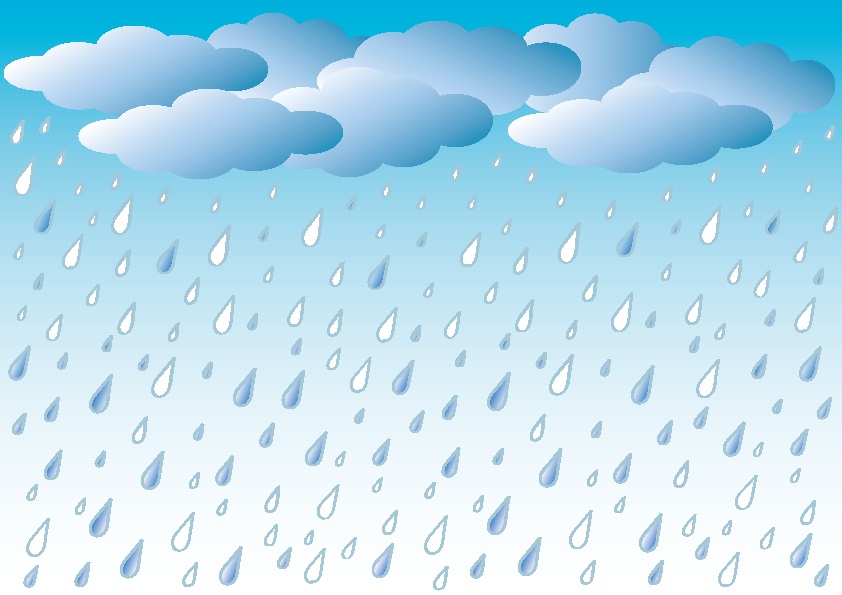 玉ねぎ 雨 保管