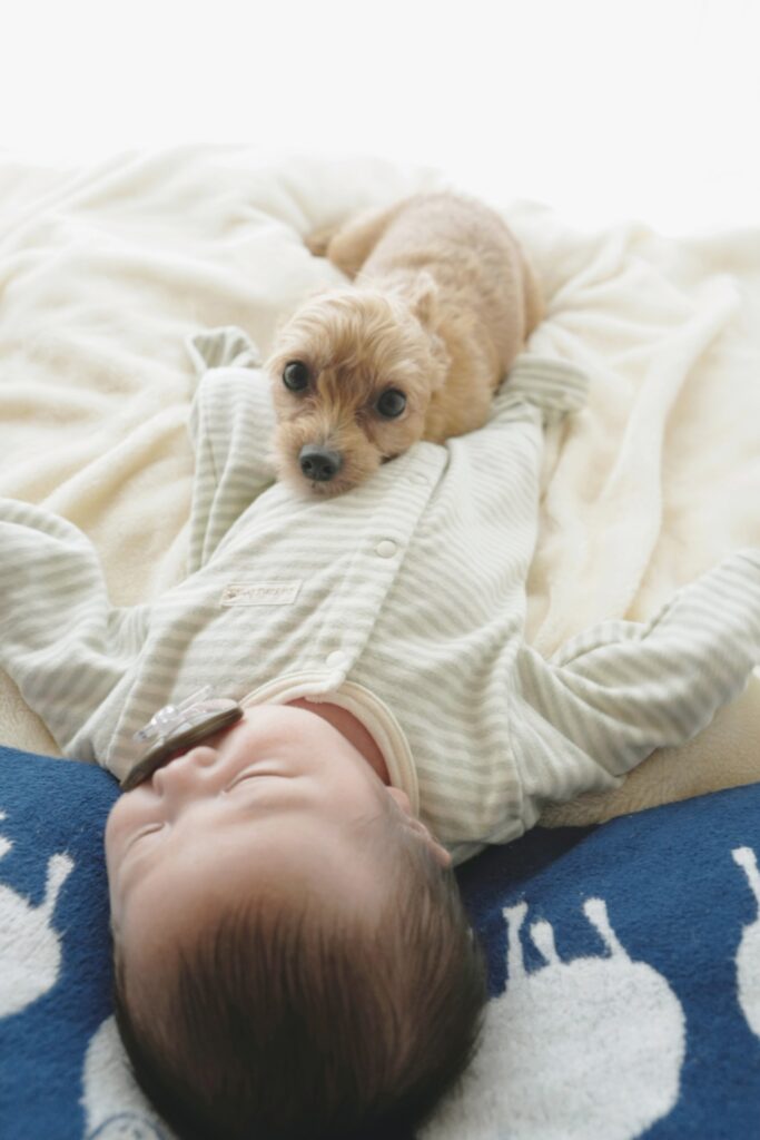 犬と子供が寄り添っても安心